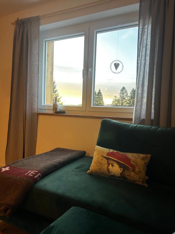 Feldberg Apartment - Direkt An Der Skipiste - Mit Sauna 外观 照片