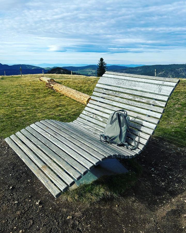 Feldberg Apartment - Direkt An Der Skipiste - Mit Sauna 外观 照片