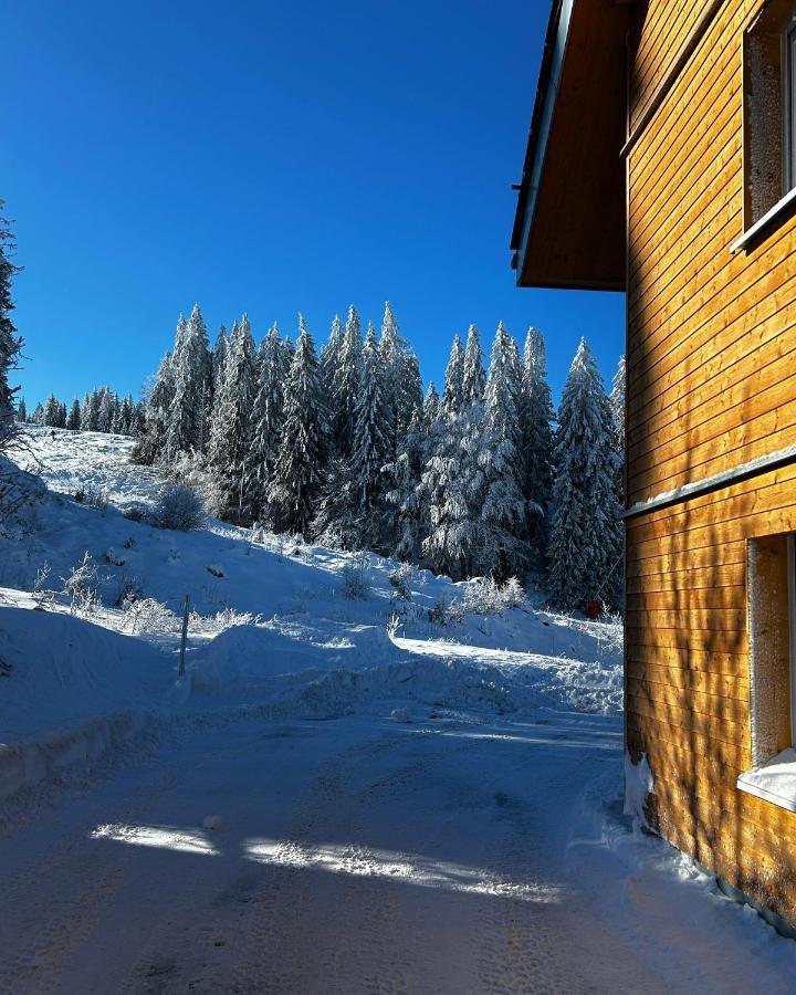Feldberg Apartment - Direkt An Der Skipiste - Mit Sauna 外观 照片