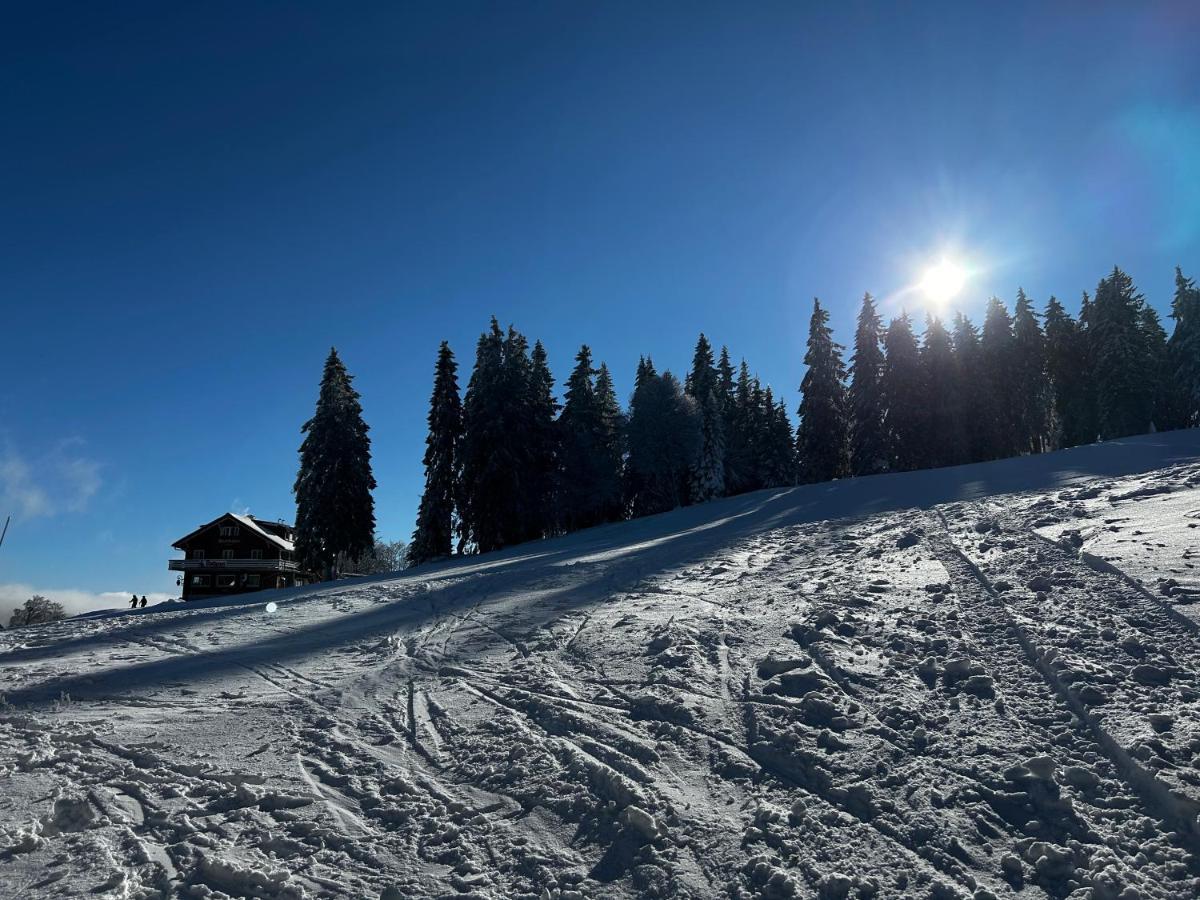 Feldberg Apartment - Direkt An Der Skipiste - Mit Sauna 外观 照片