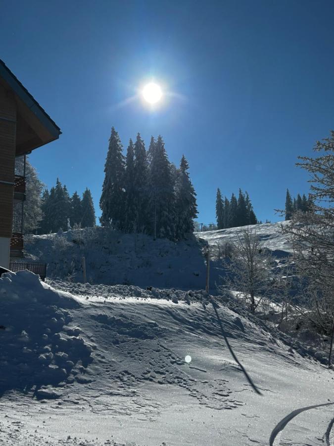 Feldberg Apartment - Direkt An Der Skipiste - Mit Sauna 外观 照片