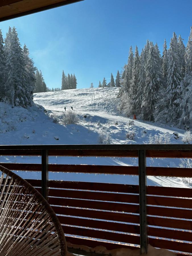 Feldberg Apartment - Direkt An Der Skipiste - Mit Sauna 外观 照片